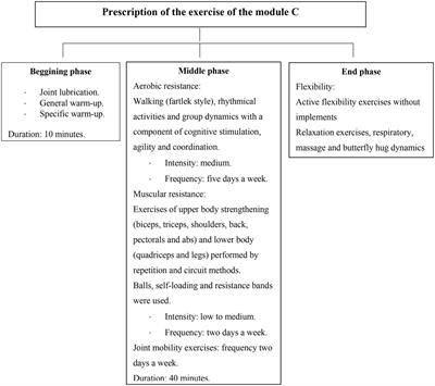 The Effects of a Multidimensional Exercise Program on Health Behavior and Biopsychological Factors in Mexican Older Adults